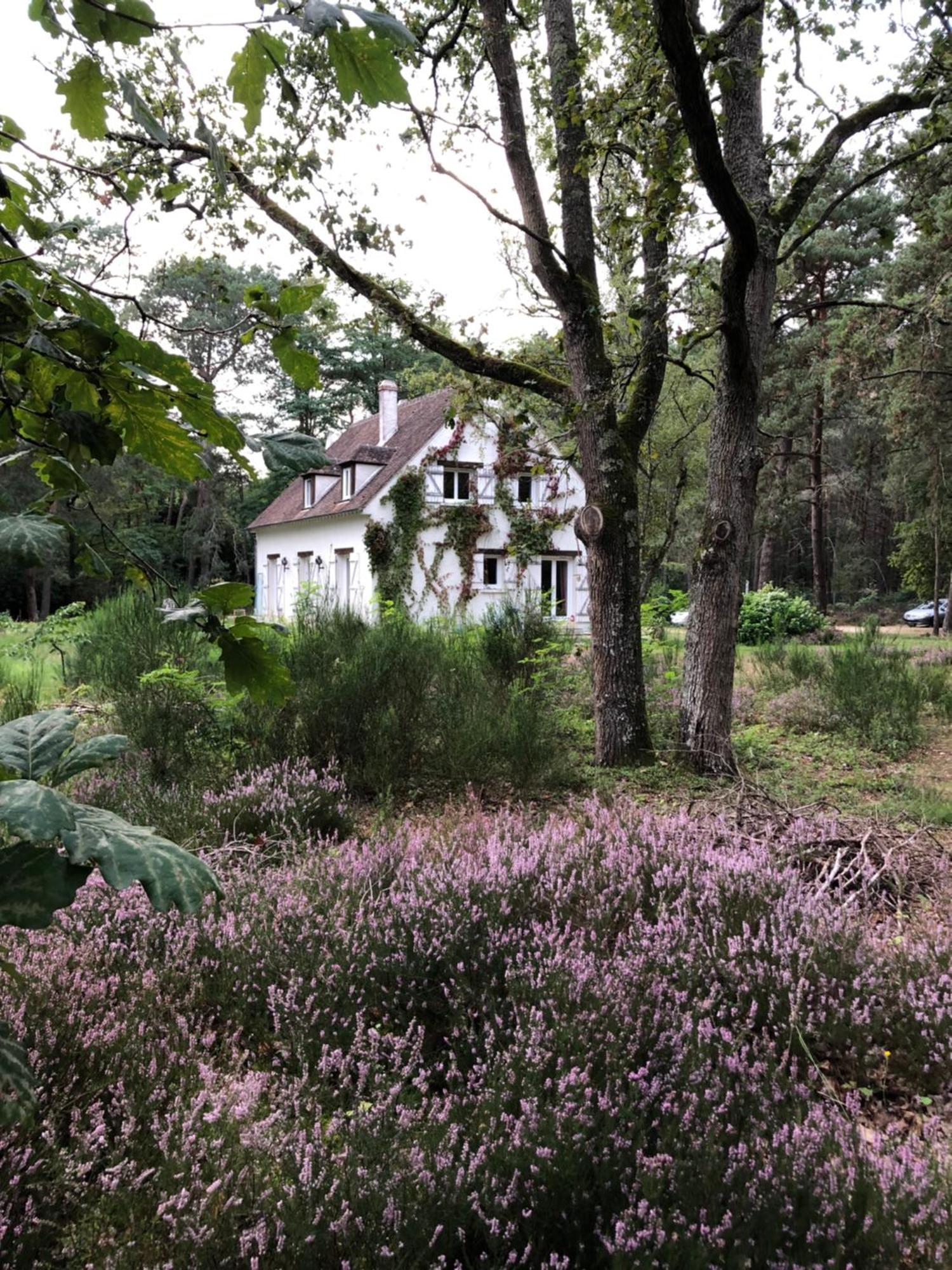 Chambres Au Coeur Du Massif Des Trois Pignons Noisy-sur-Ecole Екстер'єр фото